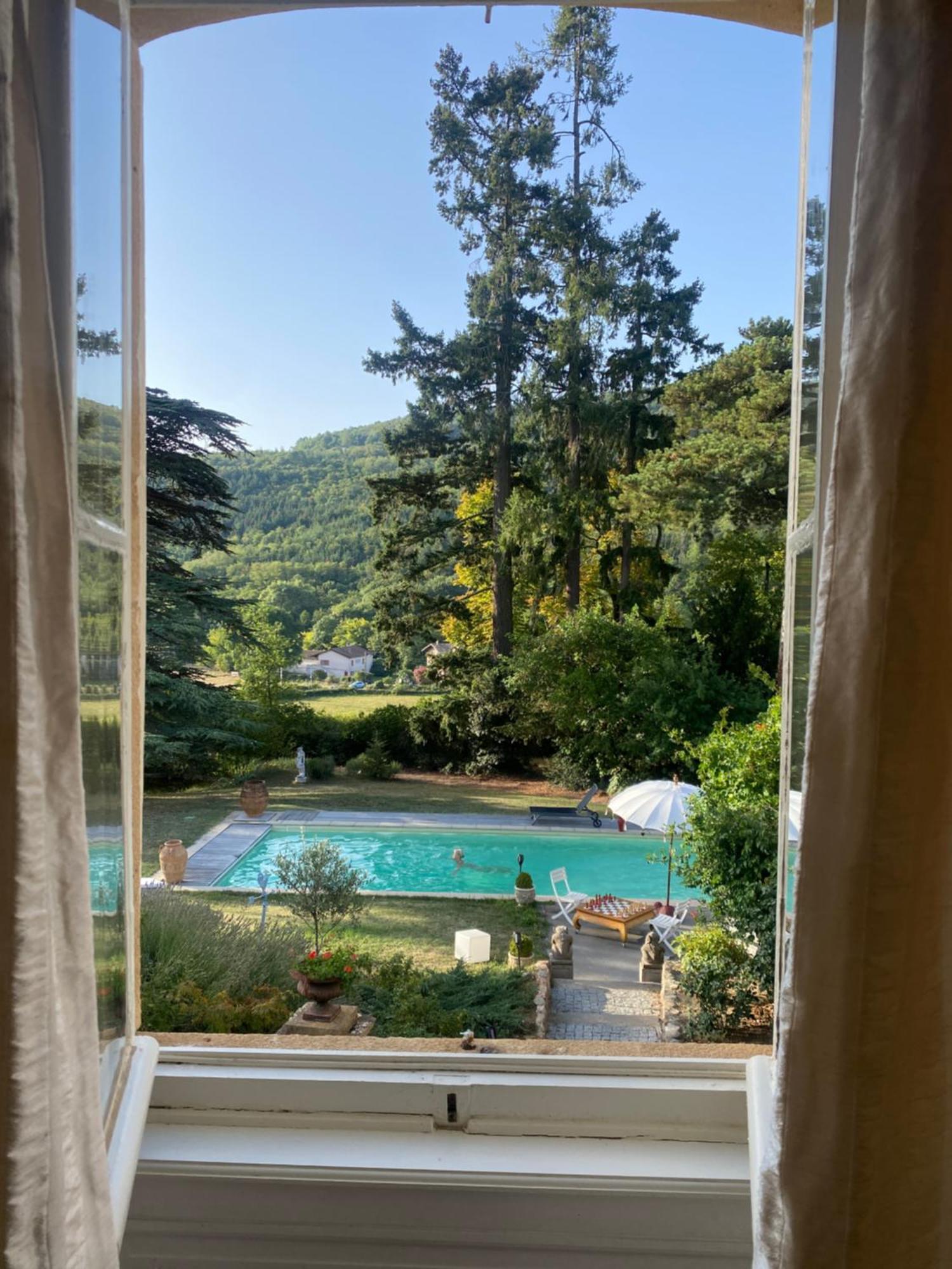 Chateau Des Janroux Juliénas Buitenkant foto